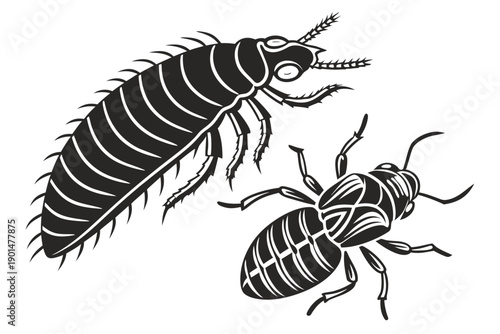 Stylized Black and White Insect Silhouettes Vector Illustration.