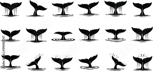Whale tail silhouette collection featuring ocean water splashes and fluke movements, marine wildlife illustration set isolated on white background