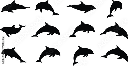 Black silhouettes of dolphins in various swimming positions on white background
