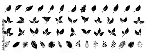 Leaf icons. Leaves of trees and plants. Leaves on white background. Ecology. Vector illustration.