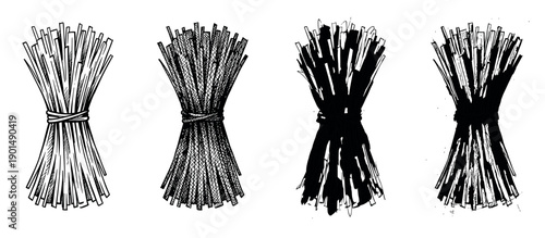Set of four hand-drawn sheaves of wheat illustrated in various graphic styles, from detailed line art and crosshatching to a bold black ink silhouette for a rustic concept