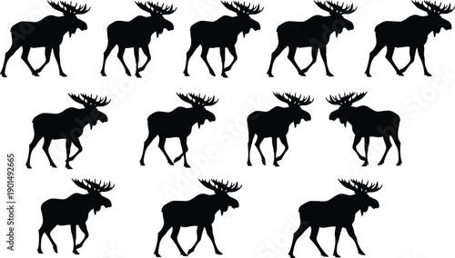 Black silhouette moose walking in various positions animals