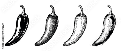 Four hand-drawn chili peppers in a set showing different artistic styles from silhouette and cross-hatching to a rough sketch, presented as a black and white graphic collection