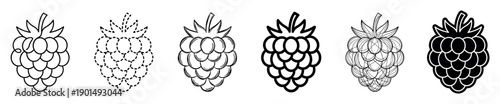 Set of six raspberry fruit icons in various black and white graphic styles including line art, dashed outline, sketch, bold, detailed engraving, and solid silhouette