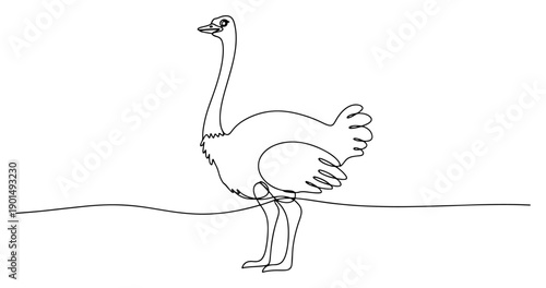Ostrich bird one line drawing, continuous line art of flightless African bird for nature and safari concept
