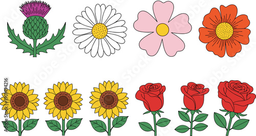 Colorful flowers including thistle daisy pink flower orange flower sunflowers and roses