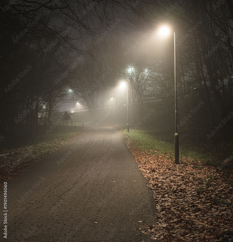 Naklejka premium Misty park pathway lit by warm glowing streetlights.