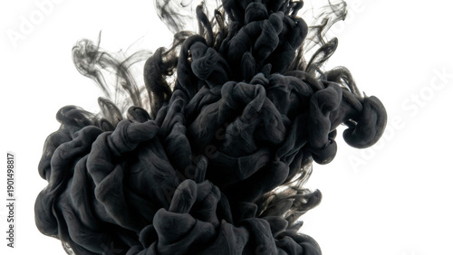 Wallpaper Mural Abstract cloud of dense charcoal pigment dispersing in fluid Torontodigital.ca