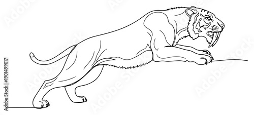 Sabertooth tiger smilodon one line drawing, continuous line art of prehistoric predator for paleontology and nature concept