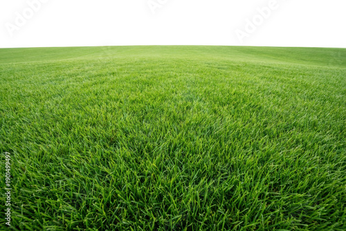 Wallpaper Mural Vibrant Green Turf on a Gently Sloping Field with Clear Separation Line Torontodigital.ca