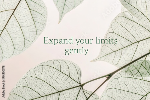 Leaf Veins Expanding Outward in Minimal Composition with Message