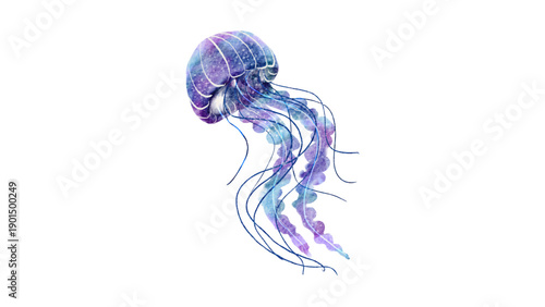 Beautiful Purple and Blue Jellyfish Watercolor Illustration Isolated on White