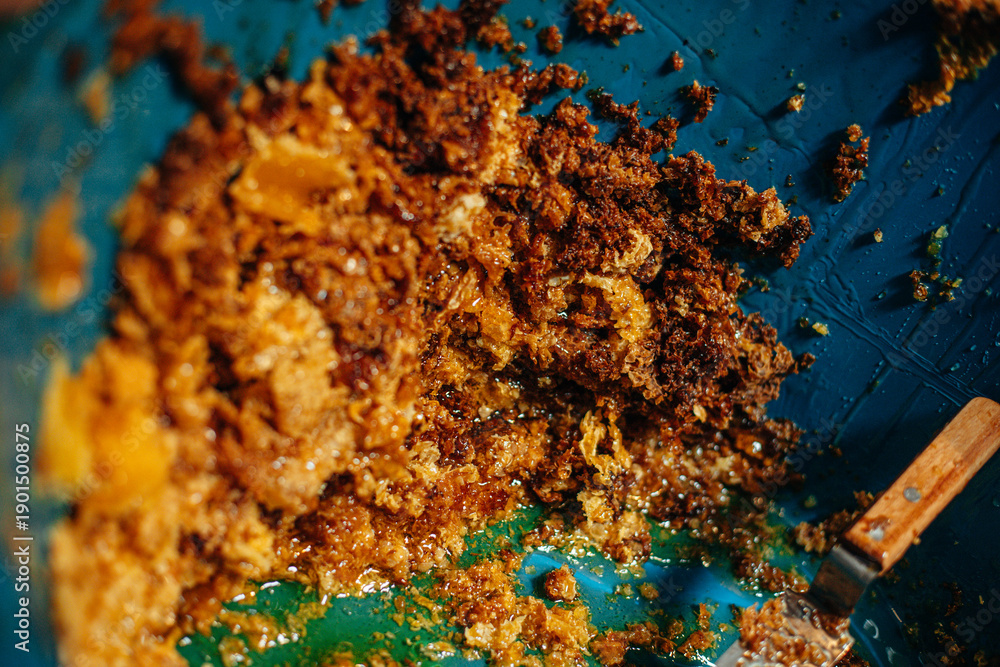 Fototapeta premium Gathering honey from honeycomb in an apiary