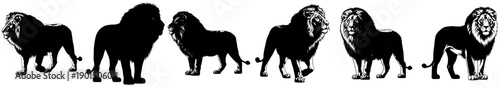 Fényképezés A set of six silhouettes of a lion in various poses, animal, black, horse, illus