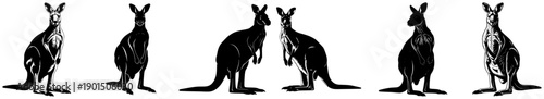 A set of six silhouettes of kangaroos in various poses, black, illustration, stand, tool, against transparent background
