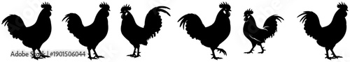 A set of six silhouettes of roosters in various poses, bird, black, cock, feather, illustration, profile, stand, against transparent background