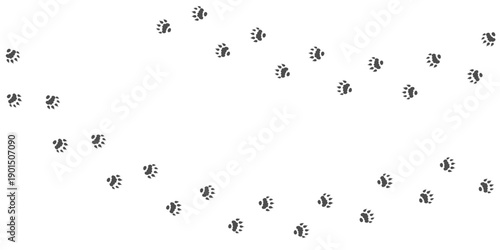 Footprints of Animal, Traces of  Otter on white background. Otter silhouette animal tracks. Paw Print. Vector illustration. EPS10.