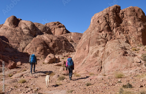 Tourists and a dog in a trail in high mountains in Sinai next to town Saint Catherine. Red mountains and huge boulders of amazing forms. Vacation and hiking in Sinai.