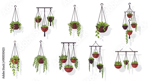 Collection of Various Hanging Potted Plants with Lush Green Foliage and Shadows