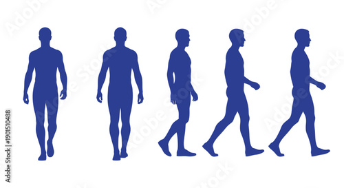 Series of human figure silhouettes depicting various stages of walking motion from front to side