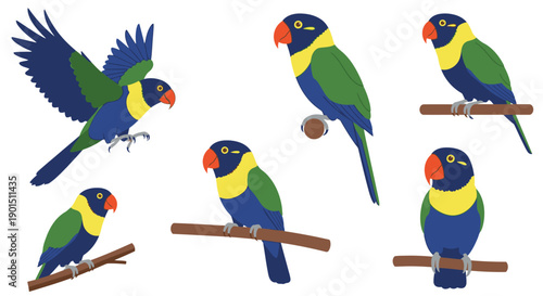 Collection of colorful parrots in various poses isolated on a white background