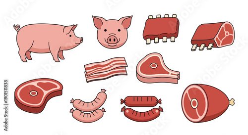 Collection of cartoon-style pork cuts and pig illustrations on a white background