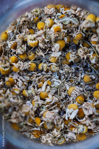 Wallpaper Mural Dried fruits, herbs, and flowers. Dried winter garden. Torontodigital.ca