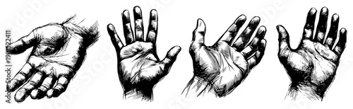 Human hands and palms gestures set vector illustration, expressive body language and communication symbols collection, anatomical hand sketch