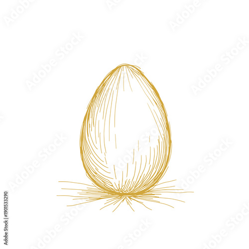 Golden egg illustration with detailed sketch lines on white background  