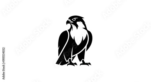 Black and white falcon silhouette logo