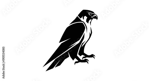Black and white falcon silhouette