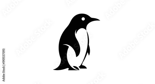 Black and white penguin illustration