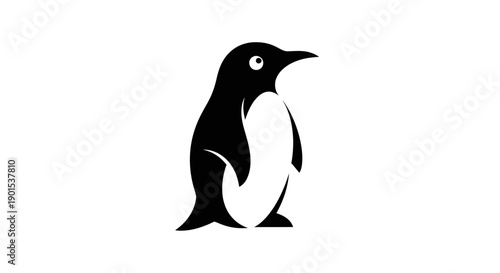 Black and white penguin isolated on white