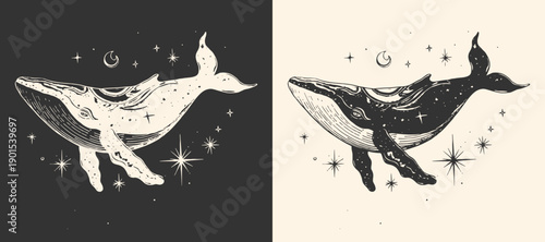 Silhouette of a celestial whale animal. Vector illustration.