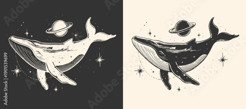 Cosmic celestial whale animal. Vector illustration.