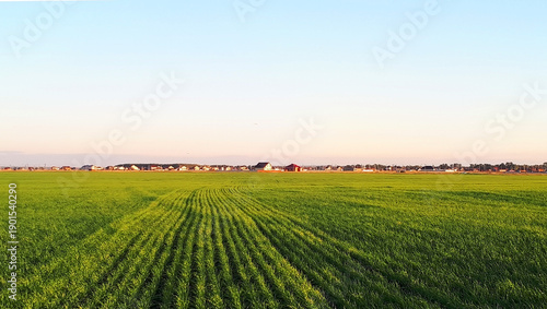 view of housing at the end of the rice fields
