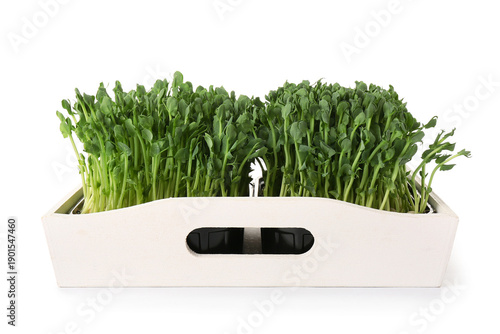 Wooden tray with fresh micr...