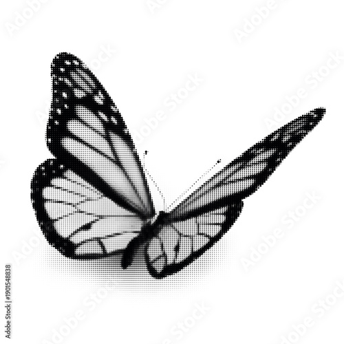 Elegant Black And White Butterfly With Delicate Wing Veins In Halftone Style