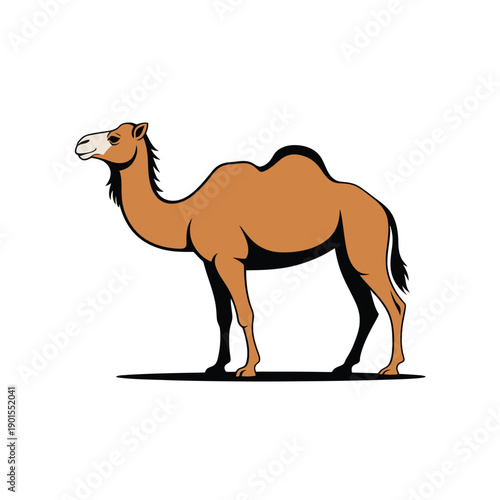 A cartoon camel stands on a plain white background with a slight shadow underneath its feet.