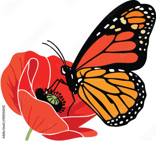 Monarch Butterfly on Red Poppy Flower.