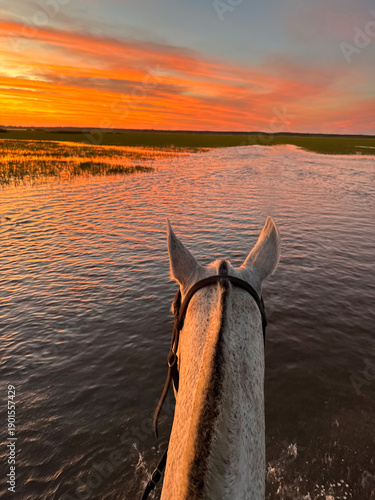 Alone on horseback, crossing the waters during a magnificent sunset.