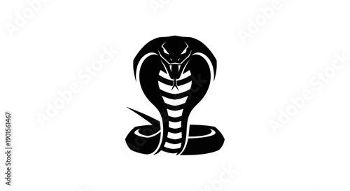 Black cobra snake illustration on white background