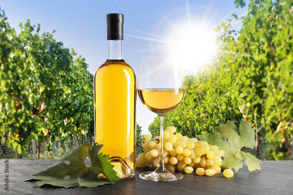 Obraz premium Wine and fresh grapes on table. Glass and bottle in vineyard