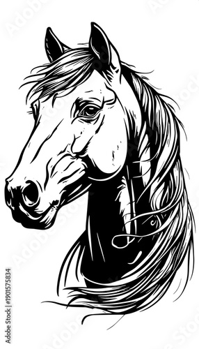 Minimal white silhouette illustration showing horse profile blended with woman portrait, long wavy hair flowing, black solid background, clean vector design