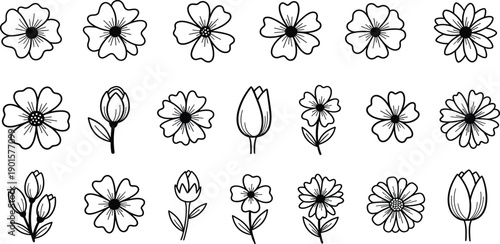 Collection of various flowers and buds illustrated in a simple black line art style from a straightforward viewpoint