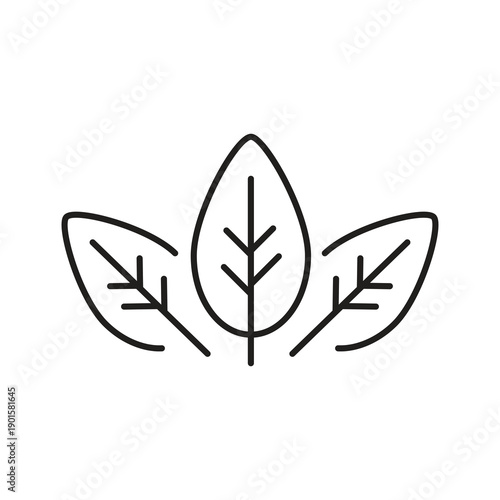 vector Organic Leaf Icon, Leaf Symbol illustration for web and app..eps