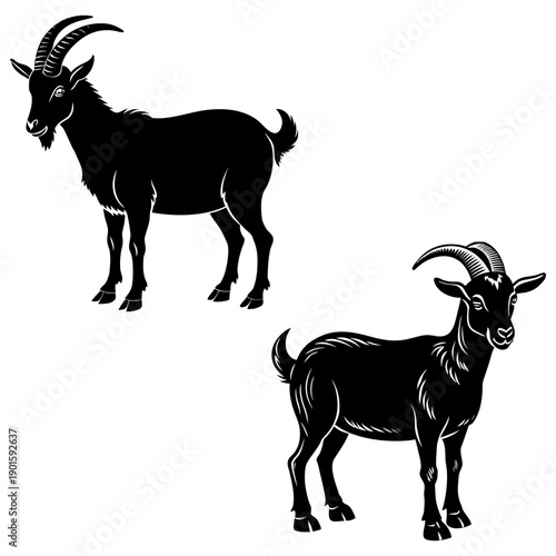 Isolated vector illustration of a cute black-and-white silhouette goat with horns, a wild mammal standing on a white background