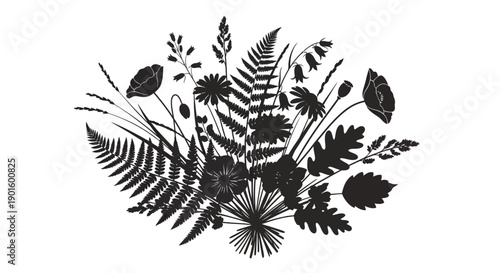 Black Silhouette of Various Leaves and Ferns.