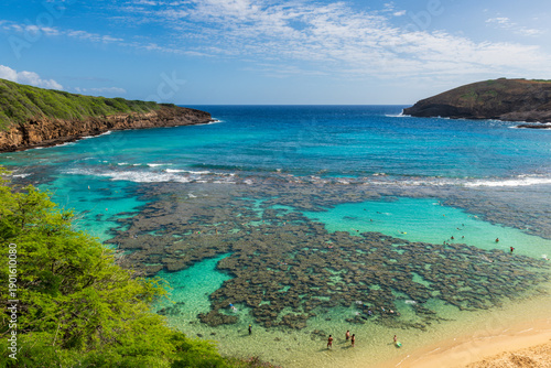 Photos Panoramic View of Coral Reef at Hanauma Bay, Hawaii