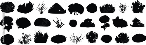 WeBush, shrub, plant, silhouette, foliage, vegetation, greenery, landscape, garden, nature, outdoor, 